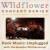 ROCK MUSIC: Unplugged - with The Boulder Philharmonic-img